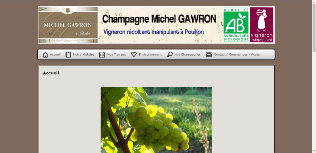 Old website of Michel Gawron